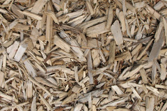 biomass boilers Gransmoor